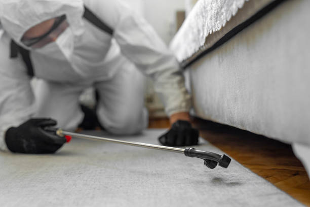 Professional Cockroach Control technician working in Dover, NH