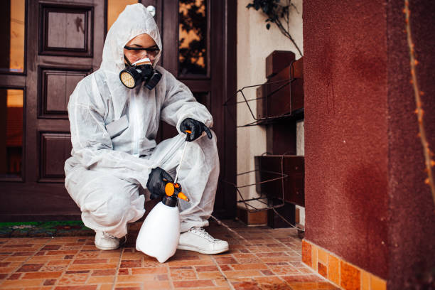 Reliable Cockroach Control contractor in Dover, NH by Nex Pest Control