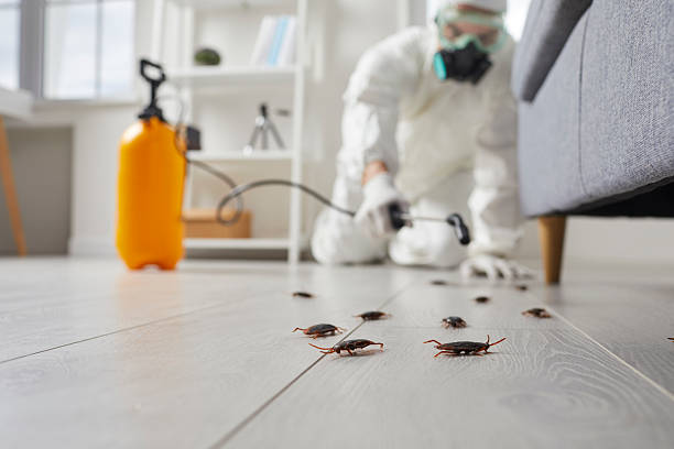 Trusted Mosquito Control service in Dover, NH - Nex Pest Control