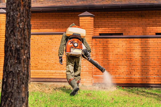 Trusted Bed Bug Control service in Dover, NH - Nex Pest Control